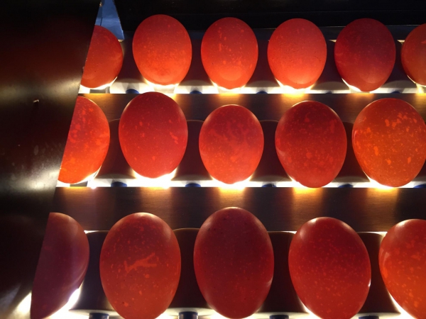 سورتینگ تخم مرغ با نور تابی