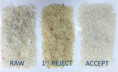 سورتینگ برنج