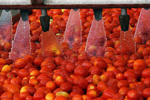 خط کامل رب گوجه فرنگی